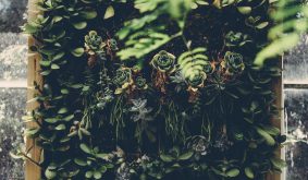 Fenntartható trendek